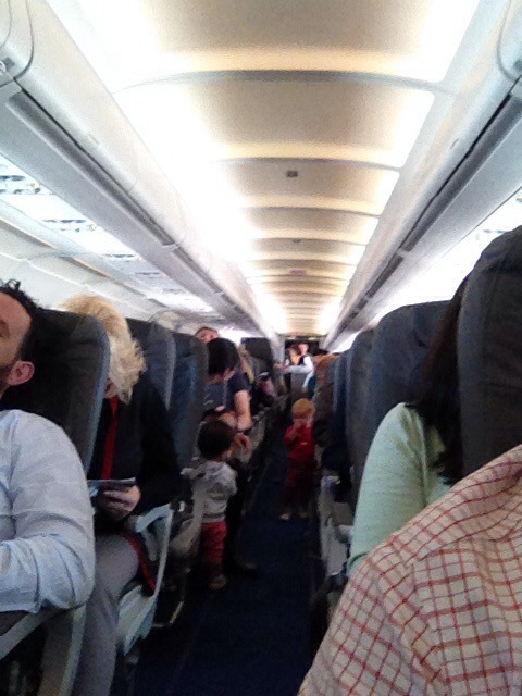 20131120-140323.jpg