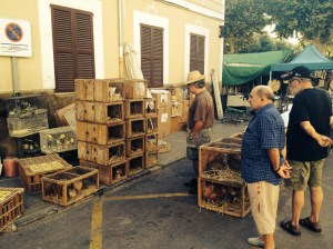 IMG_2919_1024
