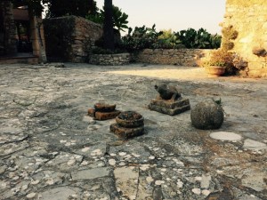 IMG_5684